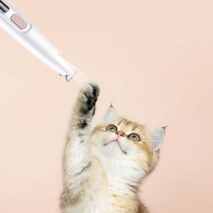 Tondeuse à poils d'animaux avec lumière LED