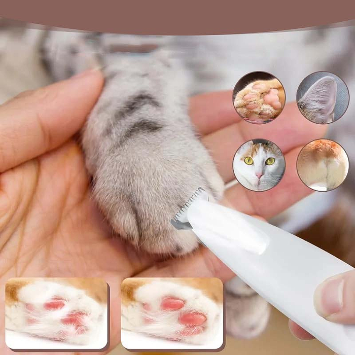 Tondeuse à poils d'animaux avec lumière LED