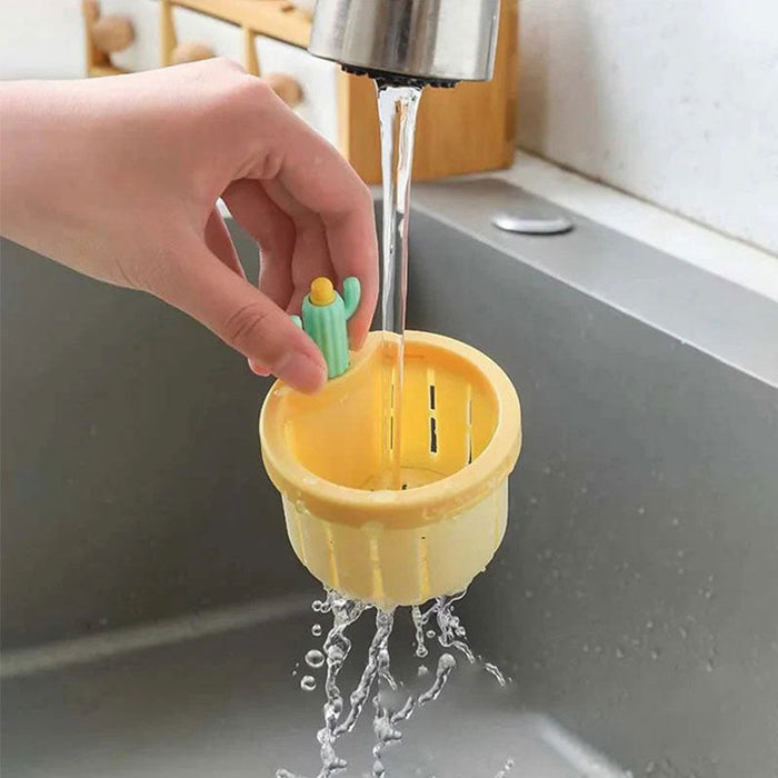 Cactus créatif pour un drainage pratique