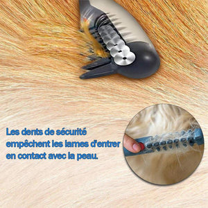 Peigne de toilettage électrique pour animaux