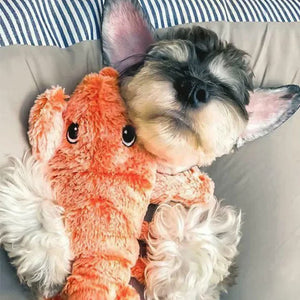 Jouet interactif pour chien Lobster