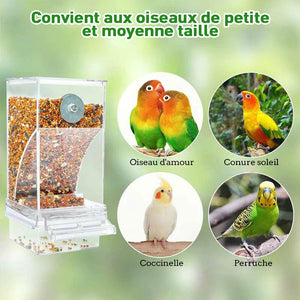 Mangeoire à oiseaux transparente anti-goutte automatique