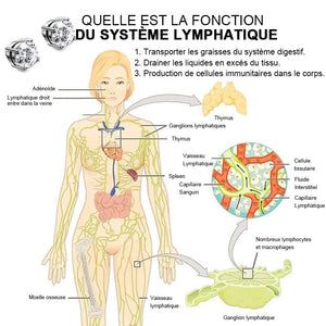 Boucles d'oreilles de magnétothérapie