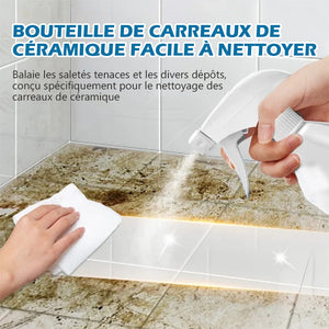 Pulvérisateur de nettoyant pour joints de carrelage