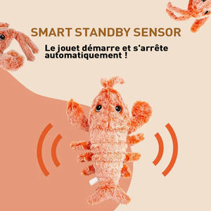 Jouet interactif pour chien Lobster