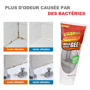 Gel pour l'élimination des moisissures