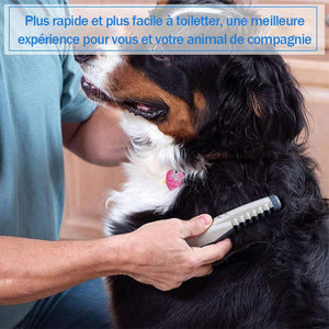 Peigne de toilettage électrique pour animaux