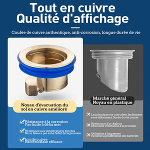 Descente d'eau universelle en laiton, noyau de drainage de sol, désodorisant anti-odeur