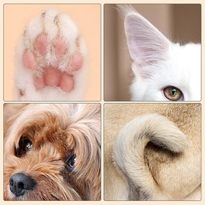 Tondeuse à poils d'animaux avec lumière LED